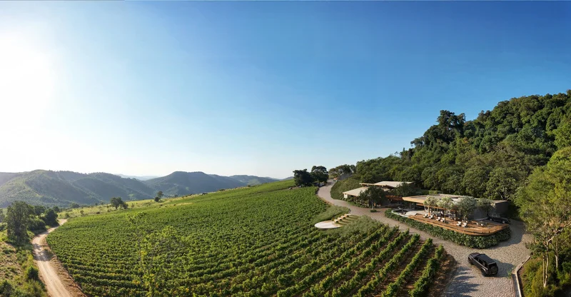 Visão panorâmica da Vinícola Rio Manso. Foto: Divulgação
