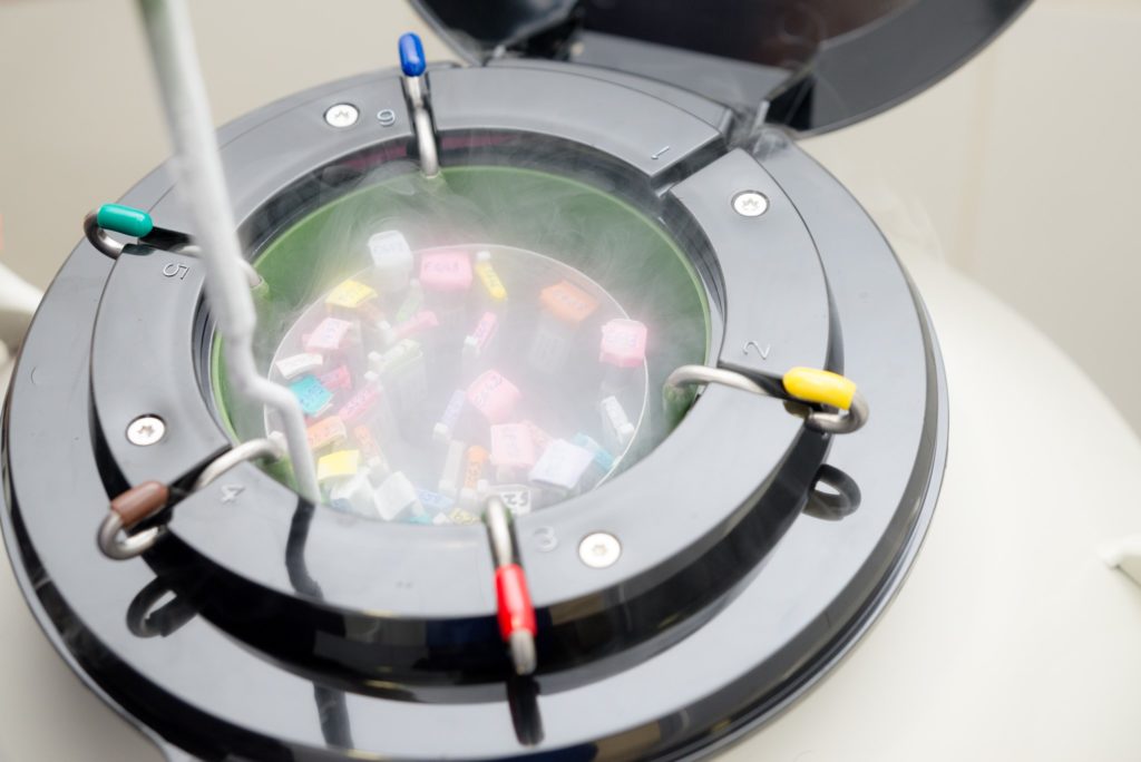 Laboratório Fivmed humaniza tratamento de reprodução humana — foto 3
