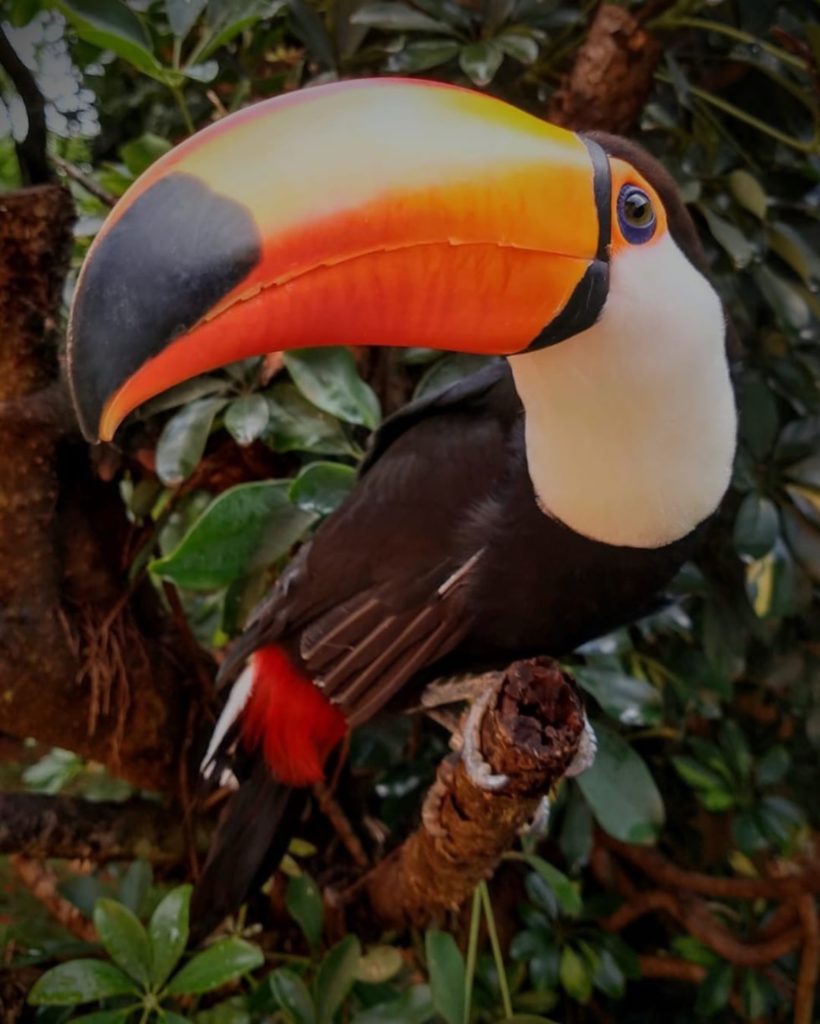 Dia na Fazenda é o programa ideal para o fim de semana — foto 3