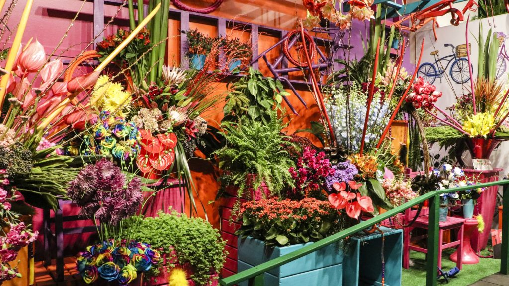 Exposição de arranjos florais nos faz viajar para Holanda — foto 12