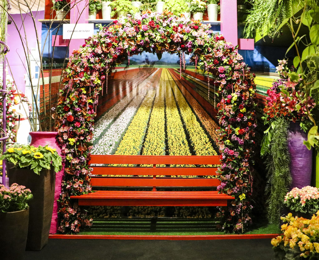 Exposição de arranjos florais nos faz viajar para Holanda — foto 4