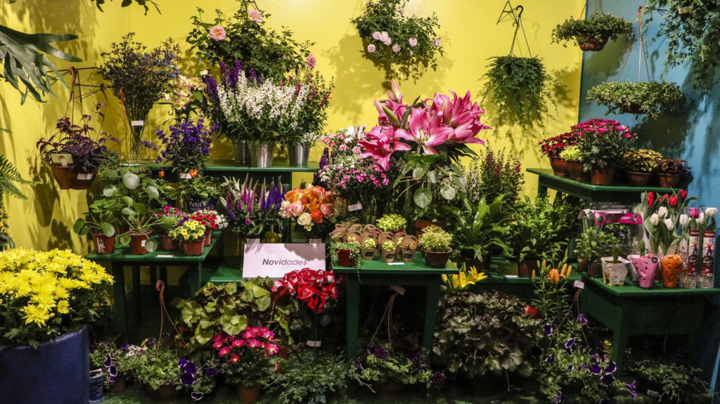 Exposição de arranjos florais nos faz viajar para Holanda — foto 9
