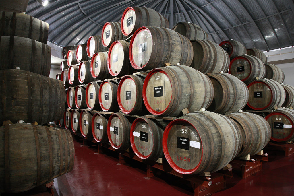 Saiba onde degustar os famosos vinhos da Ilha da Madeira — foto 6
