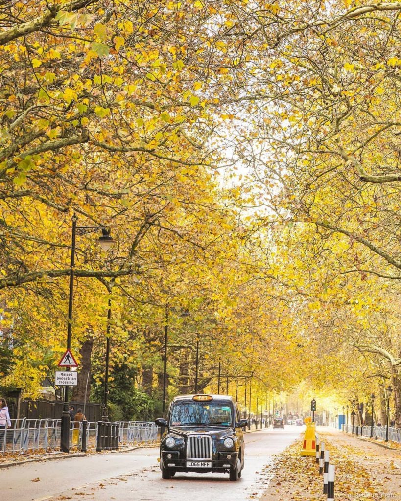 Conheça Londres em apenas 12 horas — foto 2