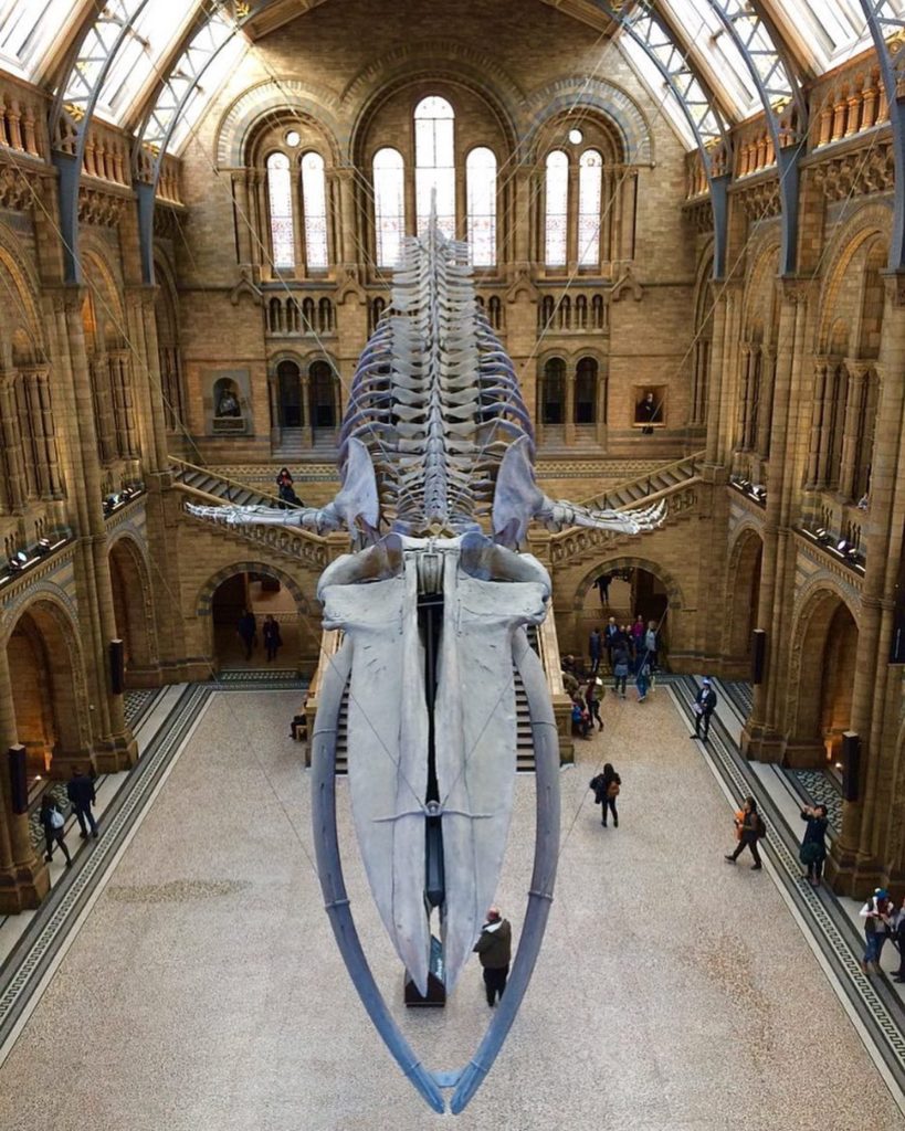 Conheça Londres em apenas 12 horas — foto 3