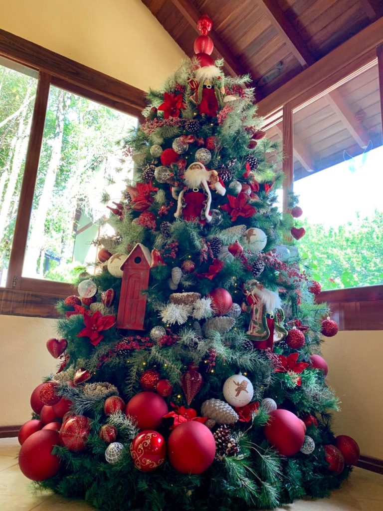 Tudo por trás de uma linda decoração natalina — foto 1