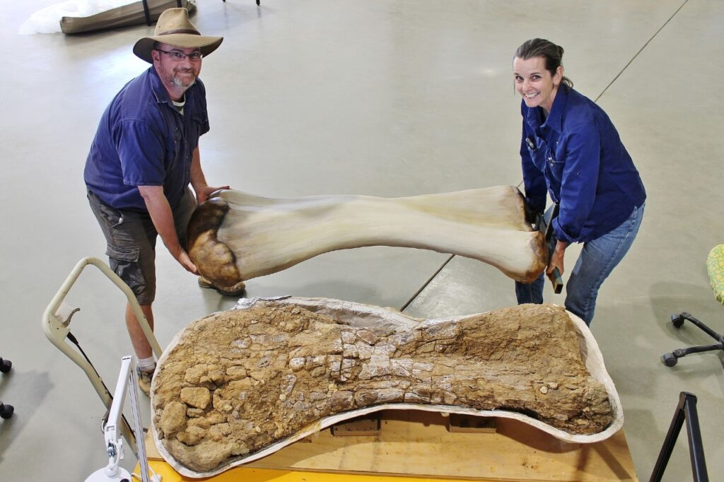 Nova espécie de dinossauro descoberta na Austrália — foto 1