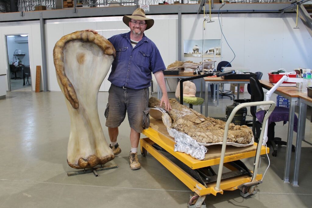 Nova espécie de dinossauro descoberta na Austrália — foto 2