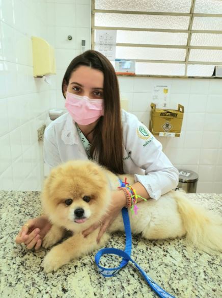 Dra. Monica Mac Knight: na consulta o veterinário verifica o diagnóstico, com ajuda de outros exames, como radiografia