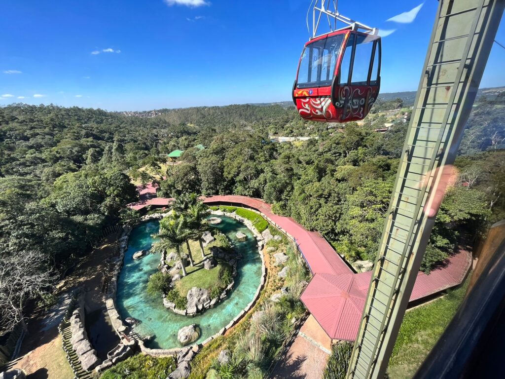 Animalia Park, um dos maiores parques, chega em Cotia — foto 1