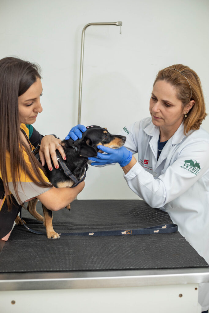 Clarisse Moreira Teixeira, do Hospital Veterinário Taquaral (HVT Campinas), em atendimento (Crédito: Matheus Campos)