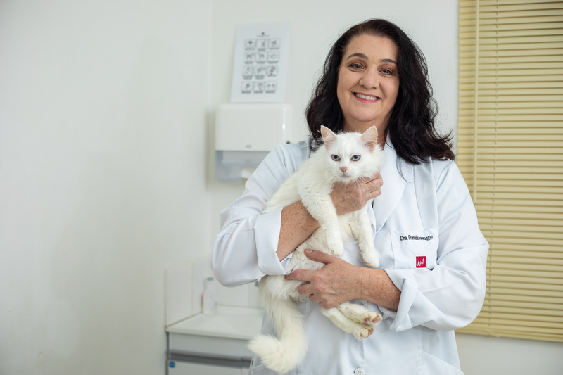 Veterinária Daniela Formaggio, especializada em Oncologia e em felinos no Hospital Veterinário Taquaral (Crédito: Matheus Campos)