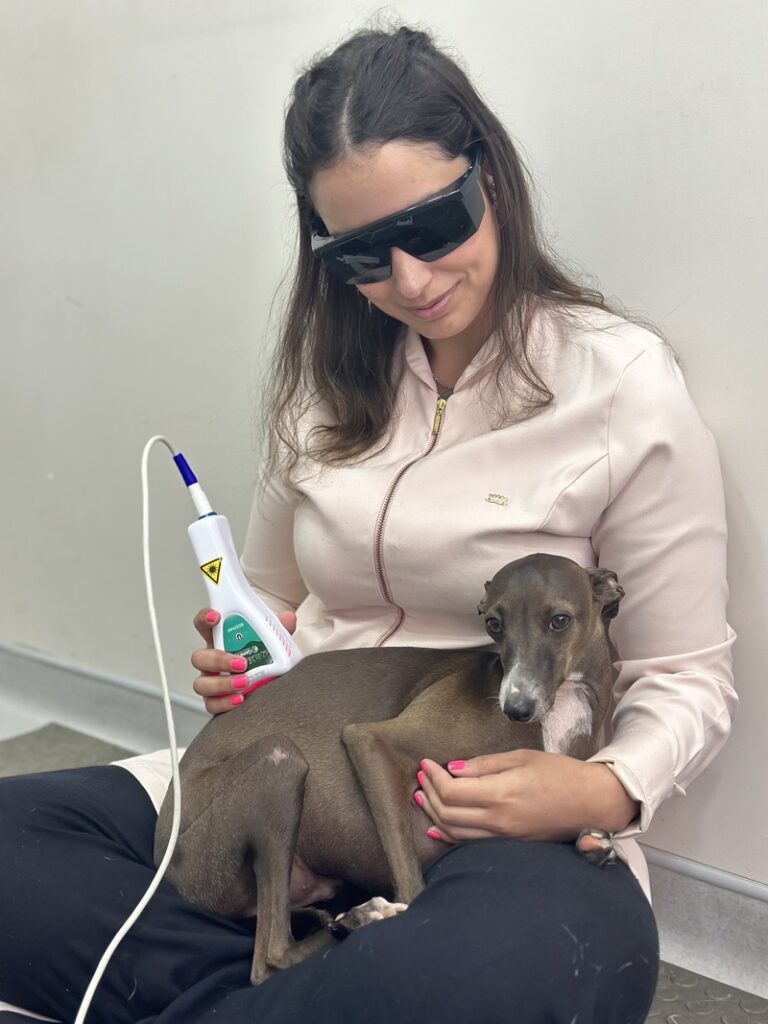 Anna Beatriz Pereira Barros, especializada em Fisioterapia do Hospital Veterinário Taquaral (Crédito: Julia de Camargo)