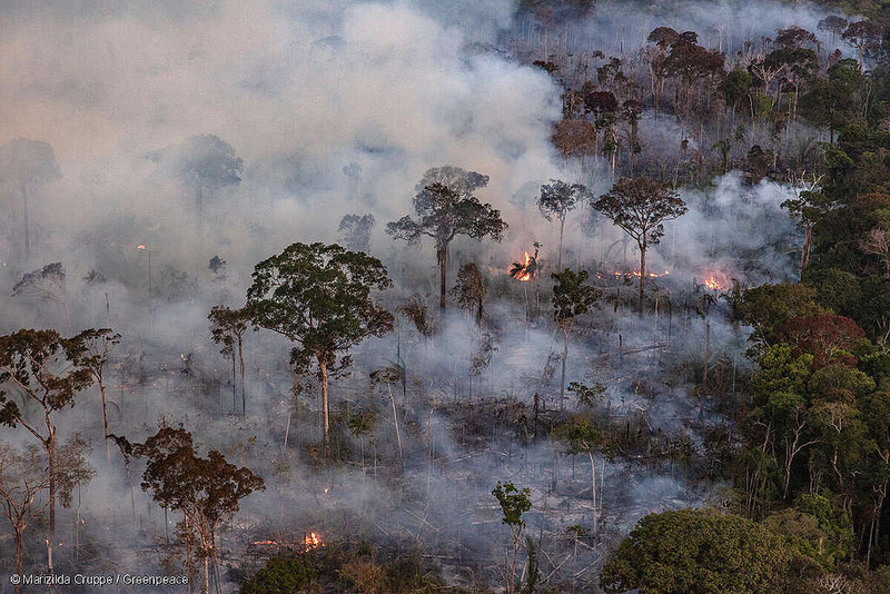 Foto: Marizilda Cruppe / Greenpeace
