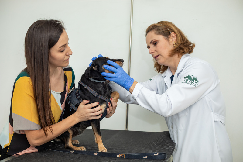 Dra. Clarisse Teixeira: “diagnóstico precoce aumenta consideravelmente as chances de sucesso do tratamento” (Crédito: Matheus Campos)