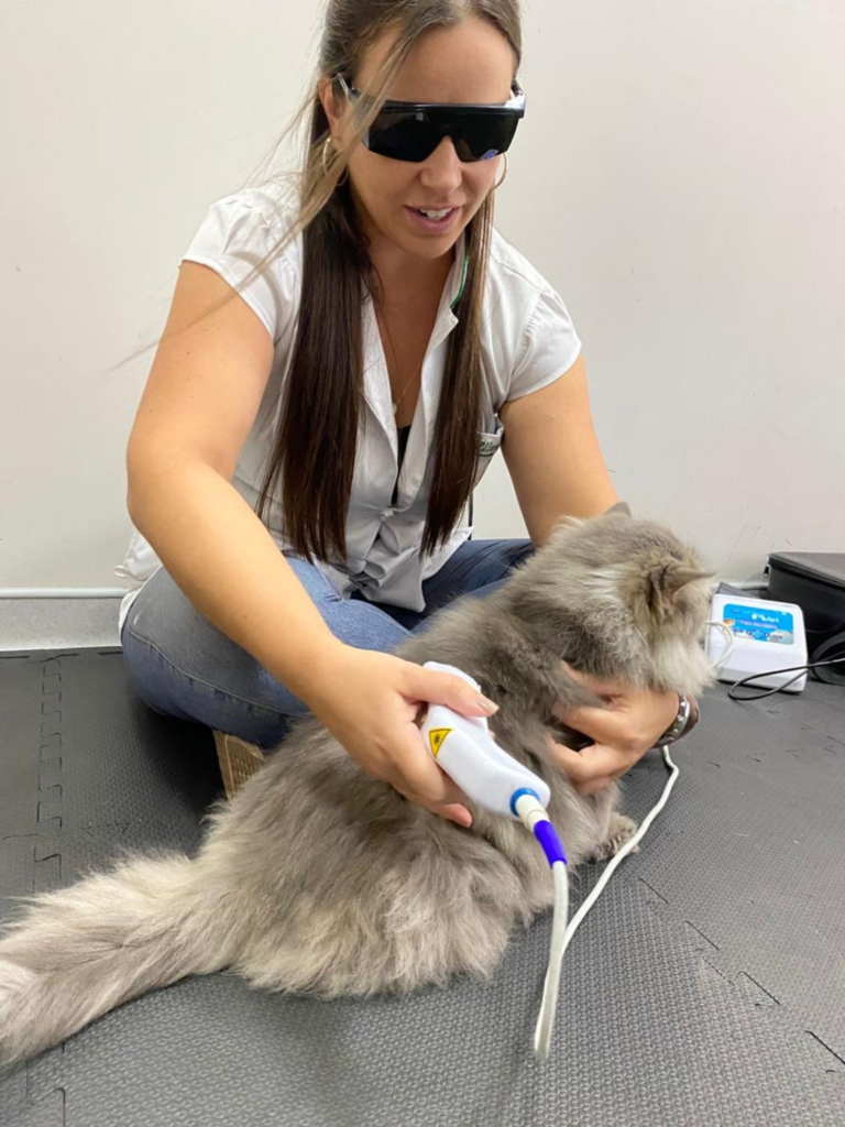 Dra. Ellen Oliveira aplica laserterapia no paciente (Crédito: Divulgação)
