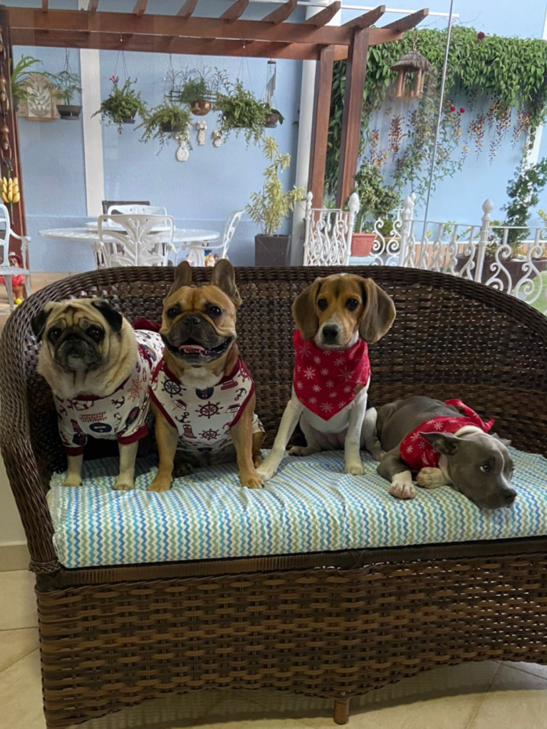Elias Regina, Lola, Ayala e Blue alegram a família (Crédito: Arquivo pessoal)