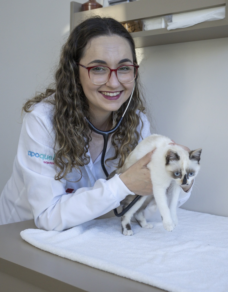 Vanessa Genari, da equipe do Hospital Veterinário Taquaral (Crédito: Vinicius Ferraz)
