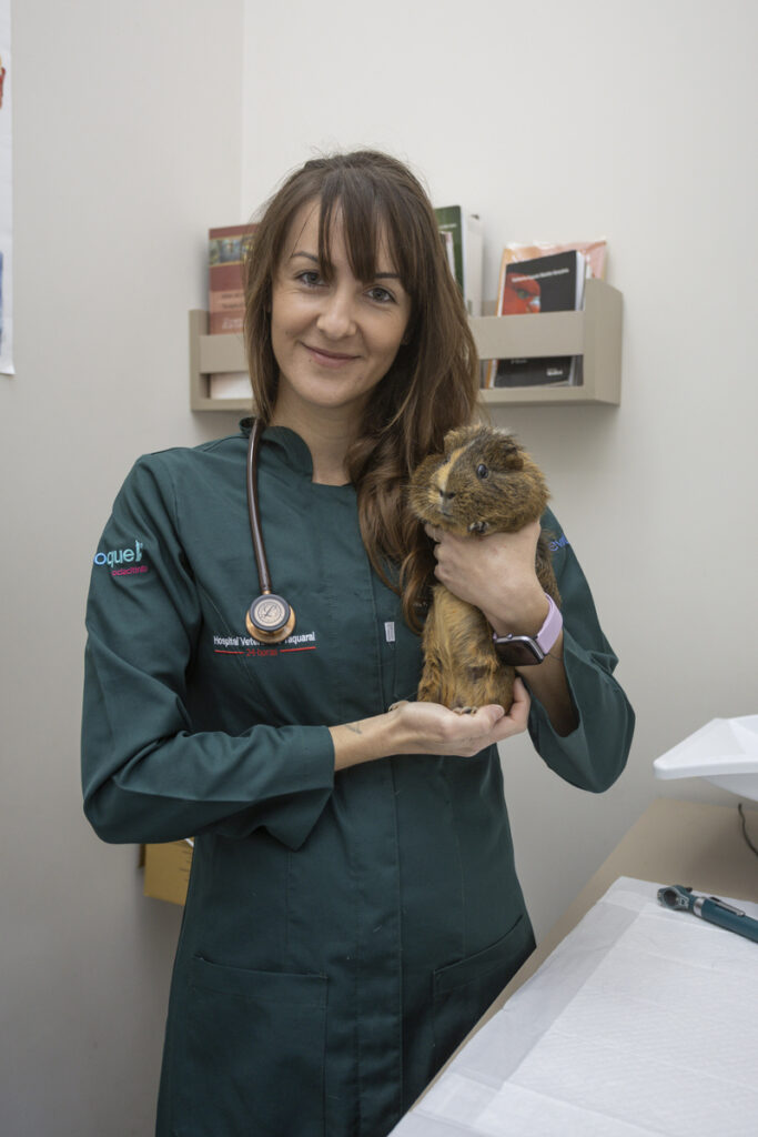 Raíssa Natali, veterinária de pets não convencionais do HVT ( Crédito: Vinícius Ferraz )