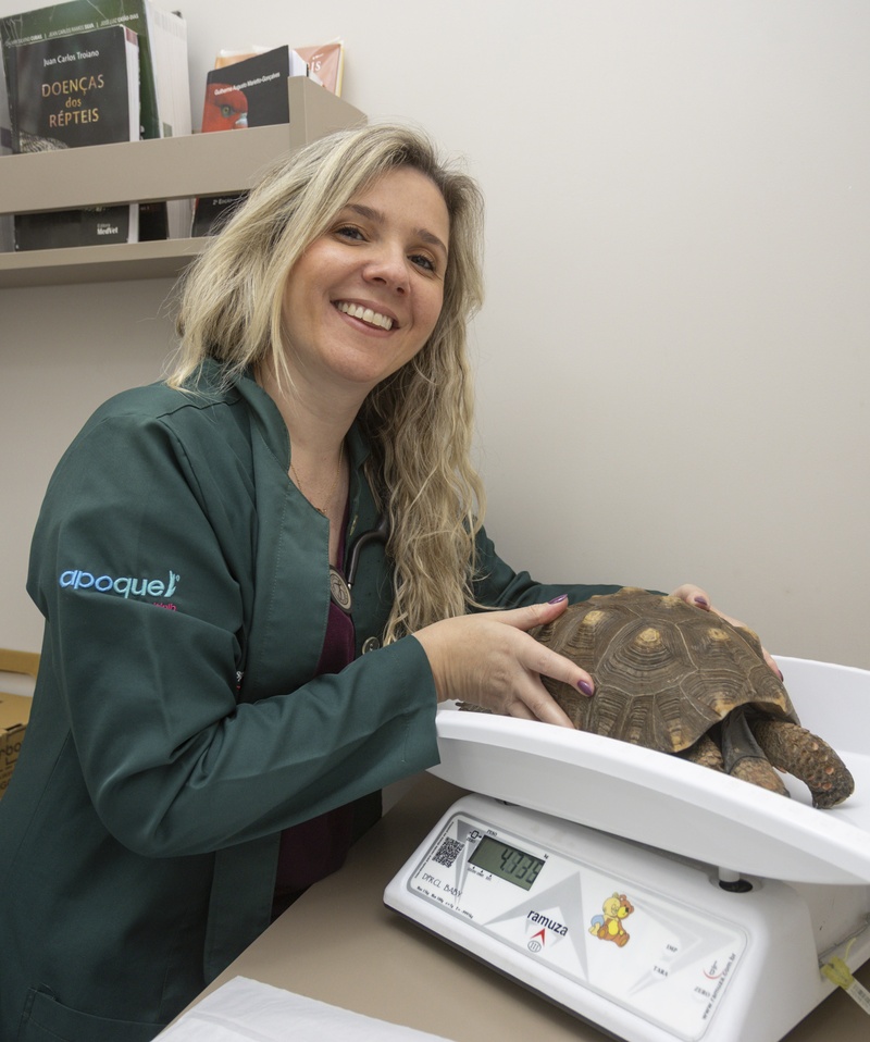 Morgana Prado, especializada em pets não convencionais do Hospital Veterinário Taquaral (Crédito: Vinícius Ferraz)