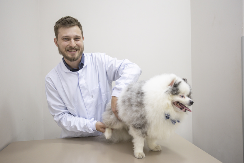 Gustavo Bacchim da Silva, ortopedista e neurocirurgião veterinário do Hospital Veterinário Taquaral (Crédito: Vinícius Ferraz)