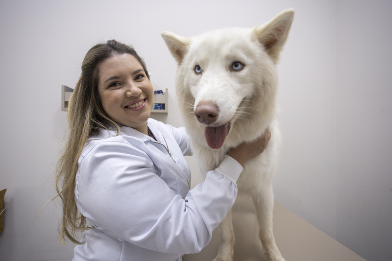 A veterinária Beatriz Ferlin, do Hospital Veterinário Taquaral (Crédito: Vinícius Ferraz)
